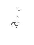 ギャリー