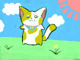 三毛猫